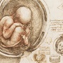 Leonardo da Vinci: Atlas Anatomicus : Leonardo da Vinci: Atlas Anatomicus