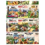 The Asterix Collection : The Asterix Collection