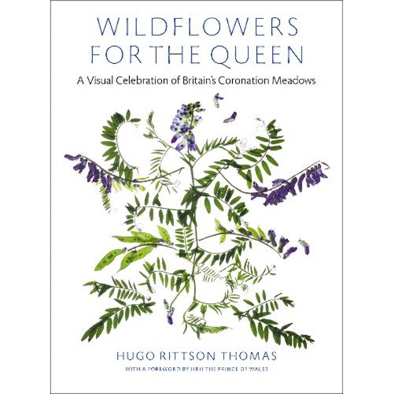 Wildflowers For The Queen : Wildflowers For The Queen