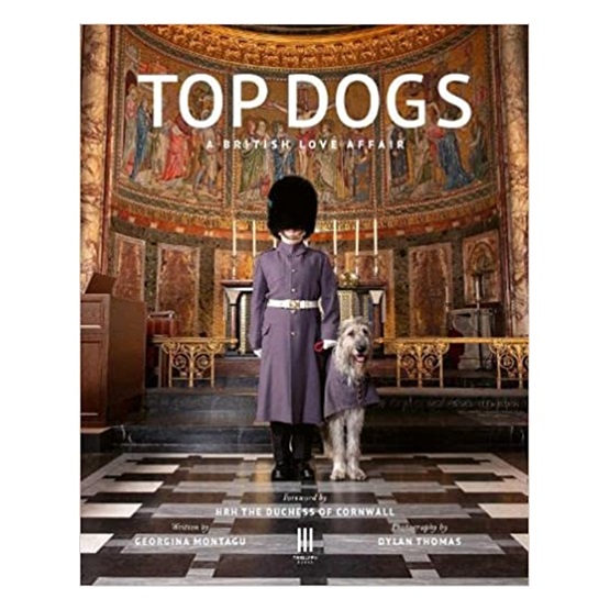Top Dogs: A British Love Affair : Top Dogs: A British Love Affair