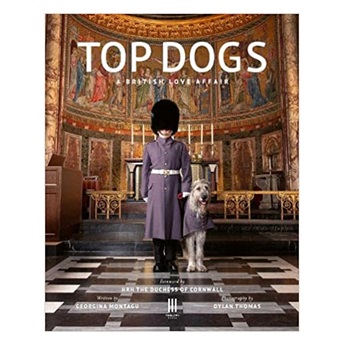 Top Dogs: A British Love Affair