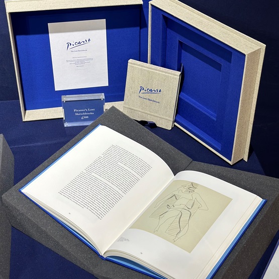 Picasso: The Lost Sketchbook : Picasso: The Lost Sketchbook