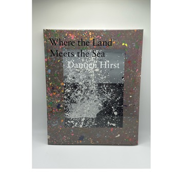 Damien Hirst: Where the Land Meets the Sea