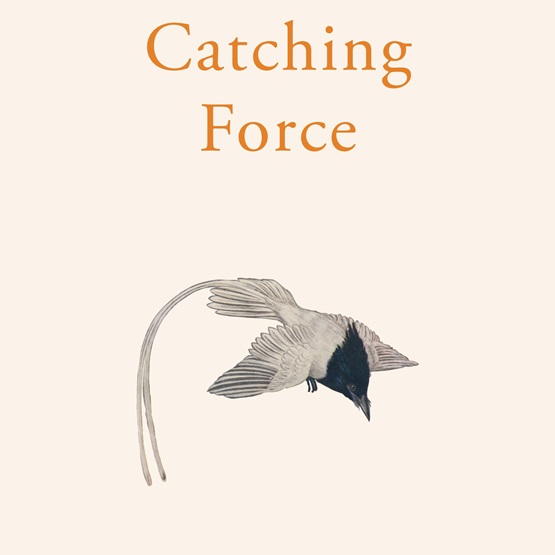 The Catching Force (Pre-order for X) : The Catching Force (Pre-order for X)