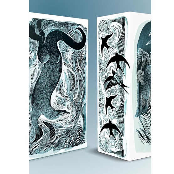 Angela Harding Box Set: A Year Unfolding, Wild Light, Still Waters & Wild Waves : Angela Harding Box Set: A Year Unfolding, Wild Light, Still Waters & Wild Waves