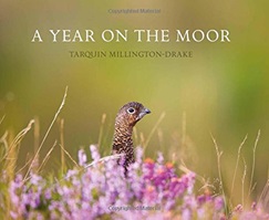 A Year on the Moor